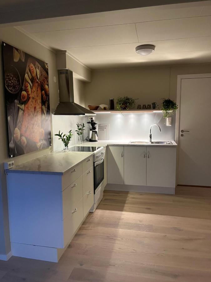 Lena Apartment Tromso Kvaloya Buitenkant foto